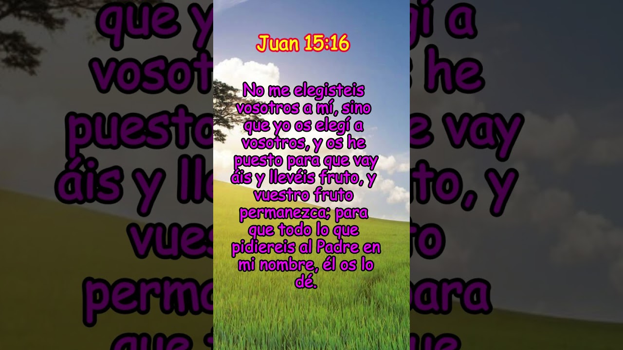 Juan 15:16 significado de ustedes: 7 lecciones poderosas 16 juan 1516 significado de ustedes no me eligieron a mi sino que yo los elegi a ustedes