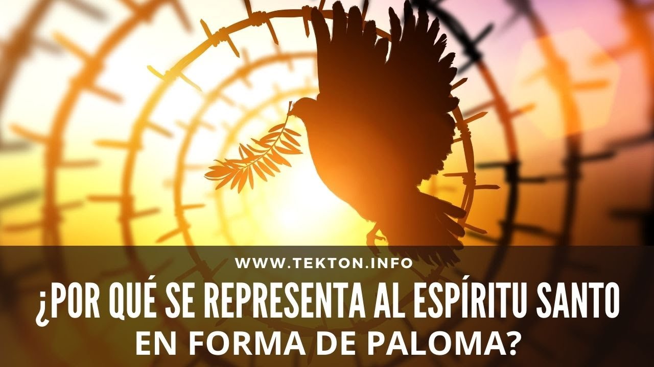 Paloma del Espíritu Santo: 7 mensajes poderosos que necesitas conocer 17 paloma del espiritu santo