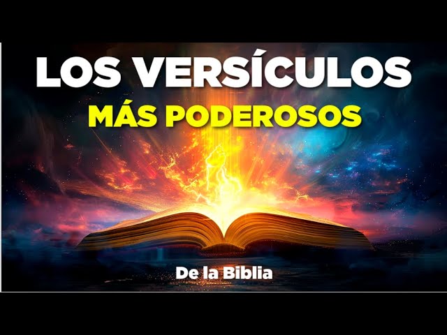 Textos bíblicos: 7 lecciones para transformar tu vida hoy 16 textos biblicos