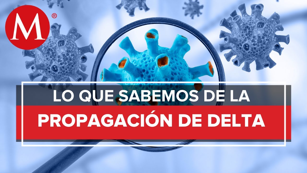 Variante delta en México: 5 datos cruciales que debes saber 13 variante delta en mexico