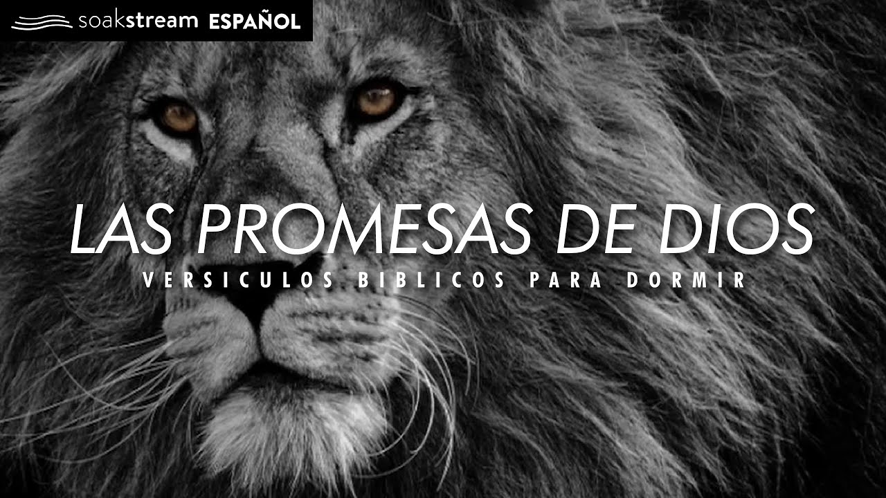 Versículos Bíblicos: 7 enseñanzas para inspirar tu vida 13 versiculos biblicos