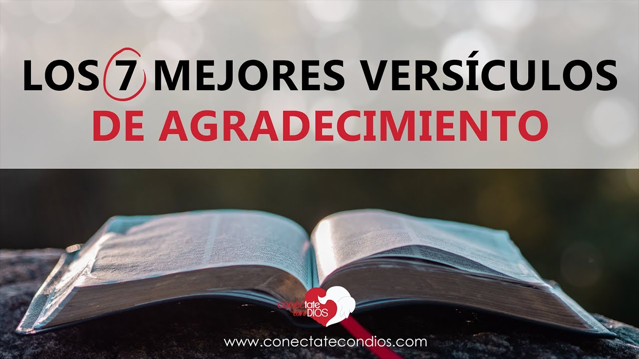 versiculos de agradecimiento