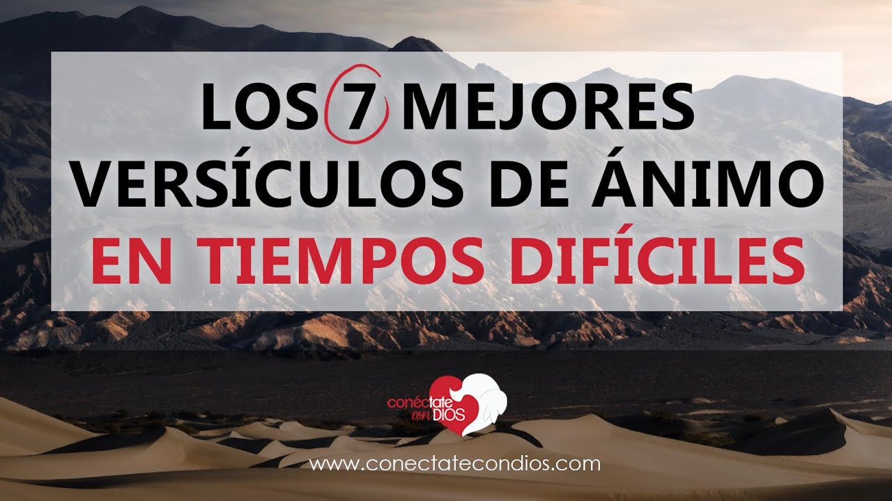 ¡No te rindas! 7 maneras de encontrar la felicidad en 2025 13 versiculos de animo