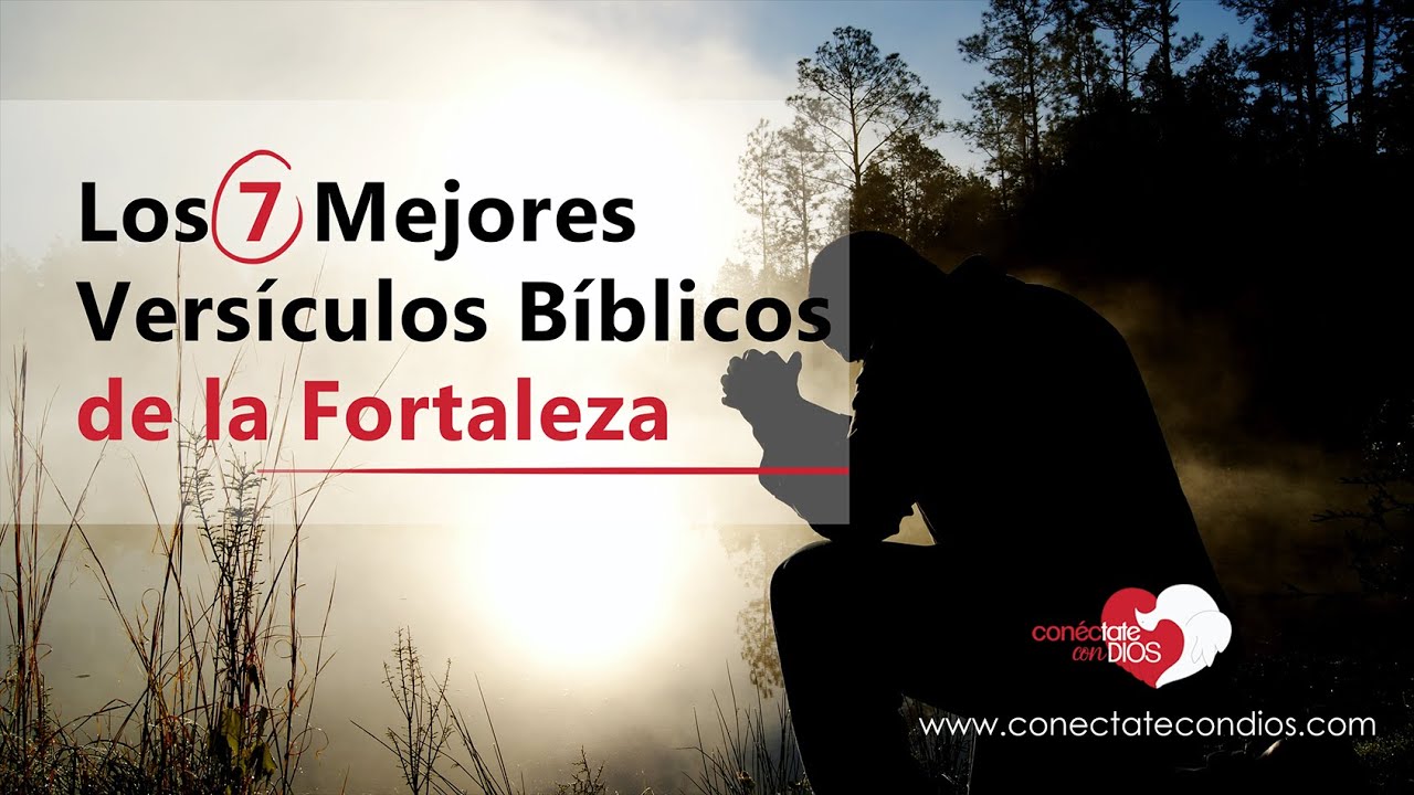 Fortaleza en la adversidad: 7 principios que te empoderan 13 versiculos de fortaleza
