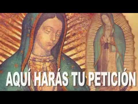 Virgen de Guadalupe oración: 7 formas de fortalecer tu fe 17 virgen de guadalupe oracion