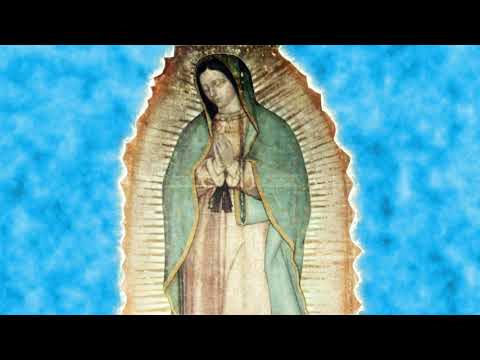Virgen Guadalupe: 7 datos impactantes que debes conocer 17 virgen guadalupe