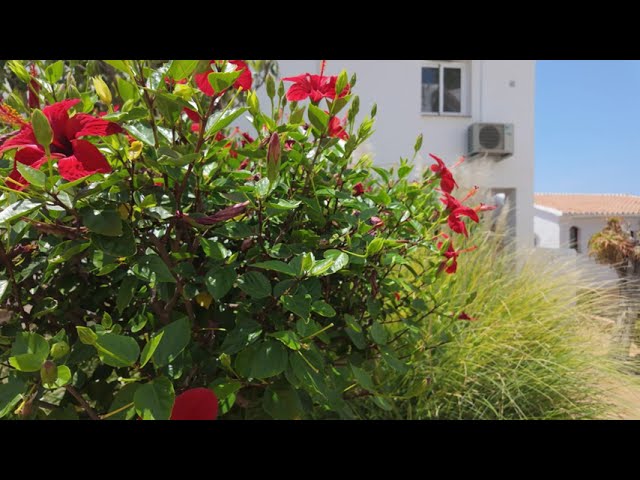 San Juan de Capistrano: 7 maravillas que no te puedes perder 17 san juan de capistrano